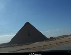 3291